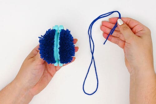 Halloween Pom Poms