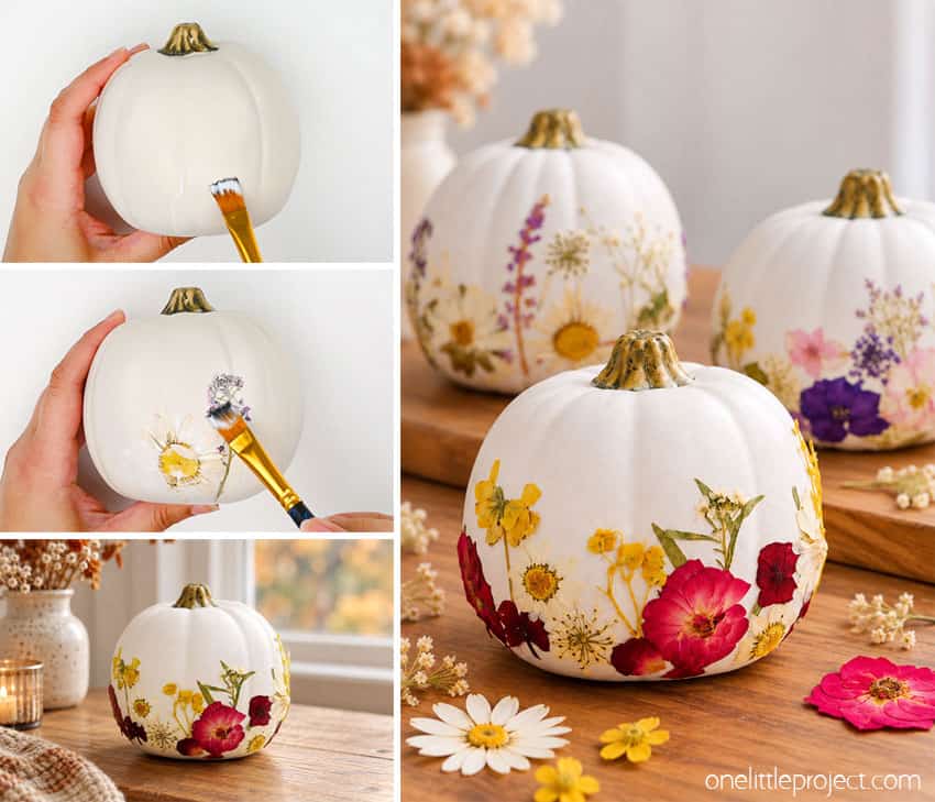 How to Make Pressed Flower Pumpkins DIY pressed flower pumpkins