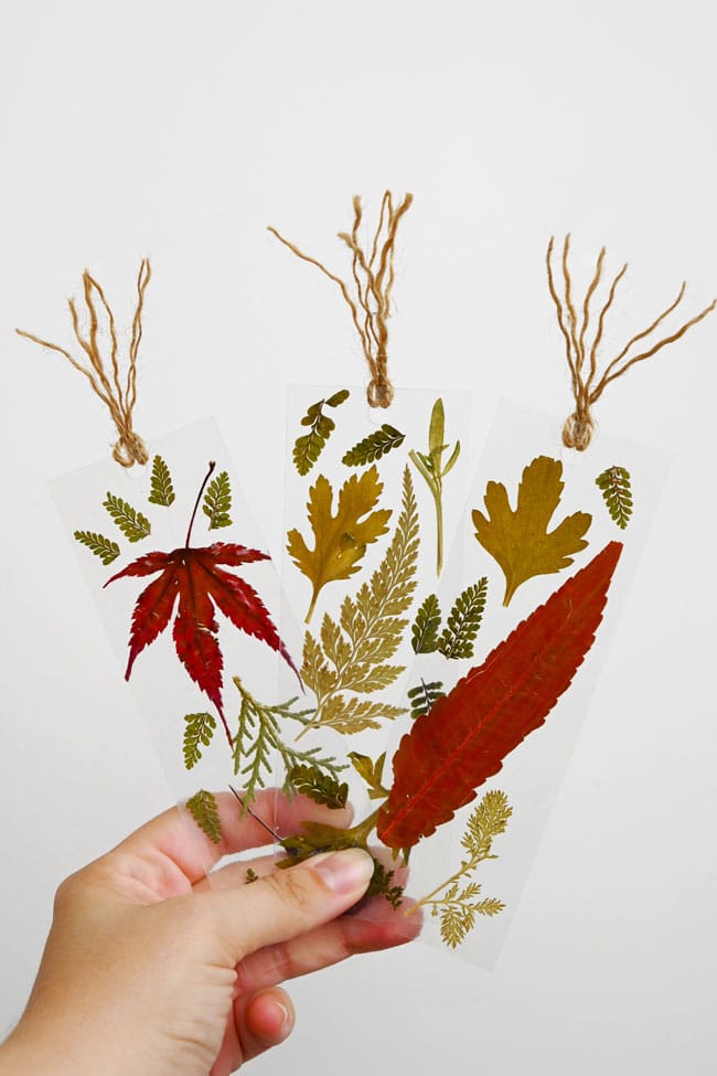 Leaf Bookmark Holding a selection of DIY bookmarks with pressed leaves