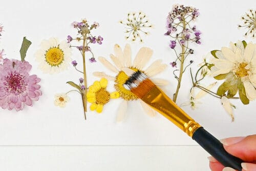 Pressed Flower Pumpkins