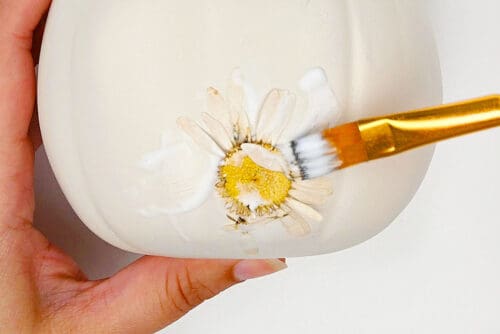 Pressed Flower Pumpkins