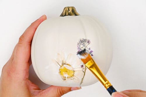 Pressed Flower Pumpkins