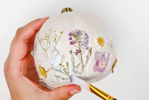 Pressed Flower Pumpkins