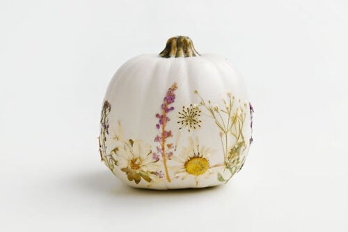 Pressed Flower Pumpkins