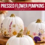 Making a pressed flower pumpkin