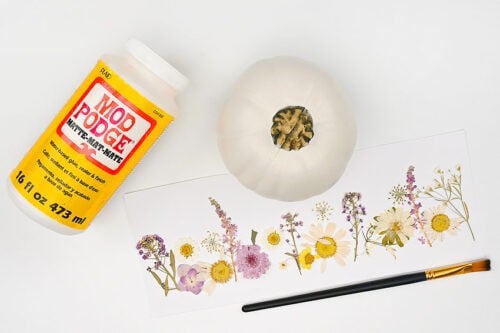 Pressed Flower Pumpkins Supplies
