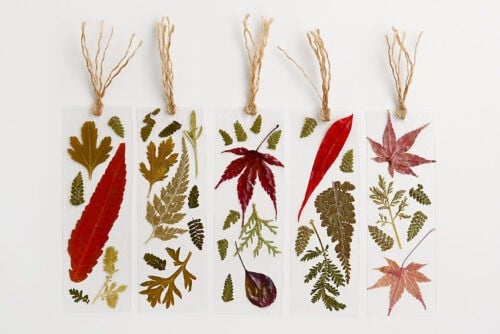 Pressed Leaf Bookmark