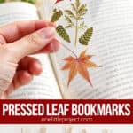 Bookmark with pressed leaves