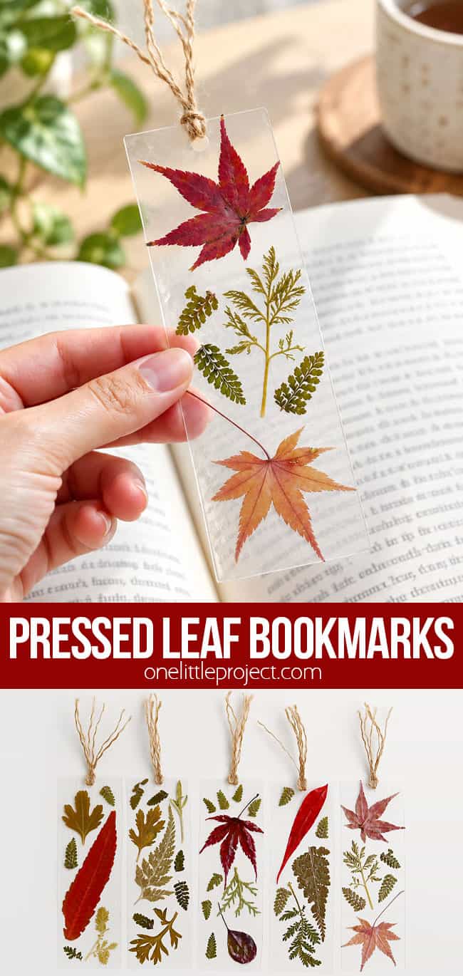 Springles Bookmark Pressed Leaf Bookmark - Easy Fall Leaf Craft