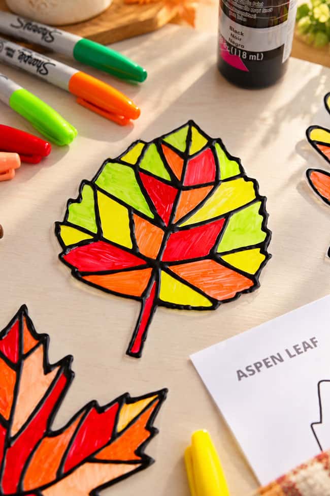 Closeup on a fall aspen leaf suncatcher